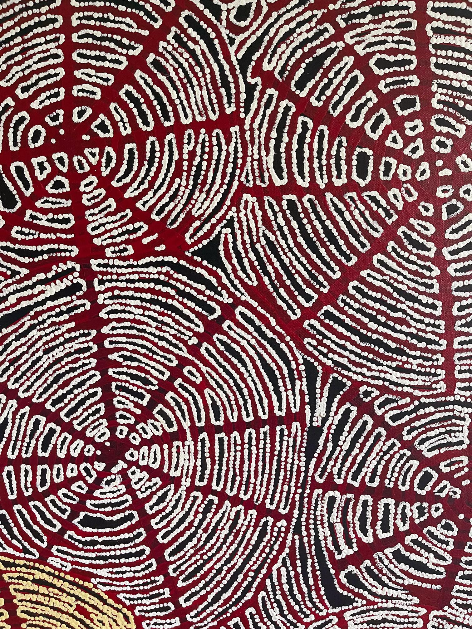 Zeitgenössisches Gemälde der australischen Ureinwohner Nord- und Südamerikas von Walangkura Napanangka (Australisch) im Angebot