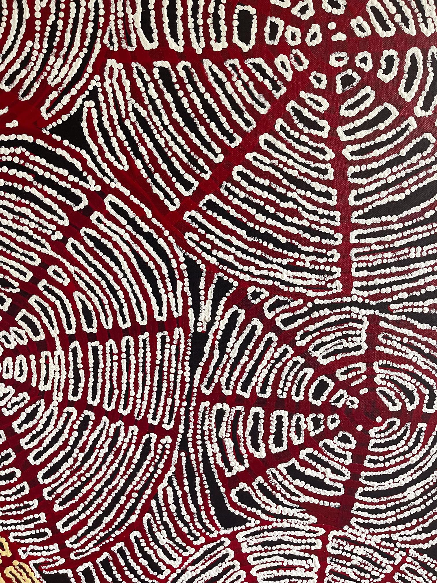 Zeitgenössisches Gemälde der australischen Ureinwohner Nord- und Südamerikas von Walangkura Napanangka (Gemalt) im Angebot