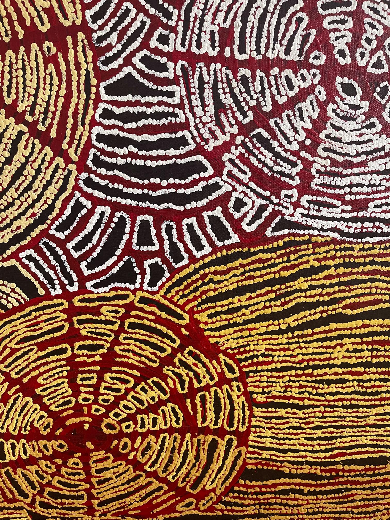 Painted Contemporary Australian Aboriginal Painting by Walangkura Napanangka For Sale