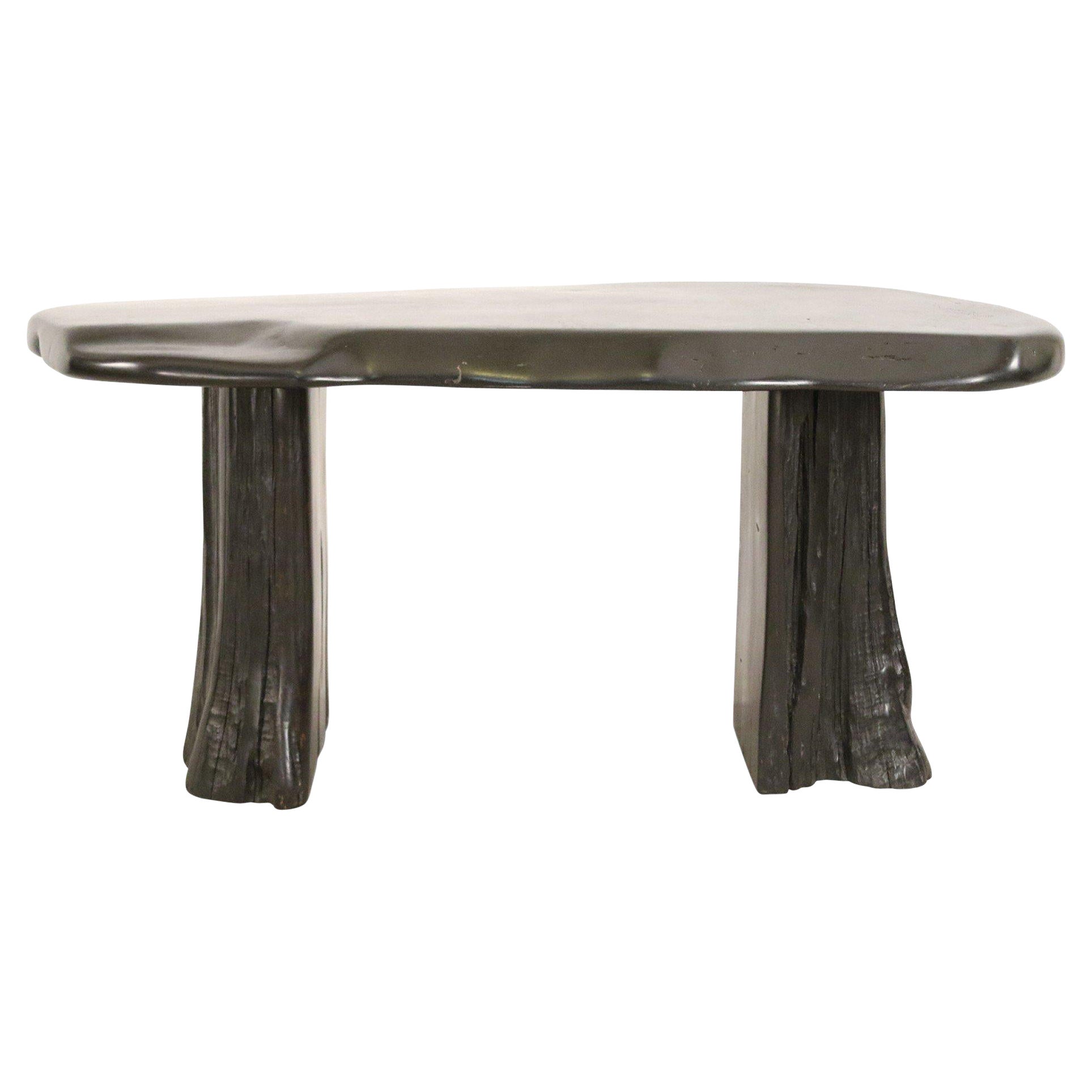 Contemporary Black Painted Tree Trunk Design Desk or Console Table