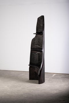 Zeitgenössisches Regal aus schwarz gebeizter Esche EM305