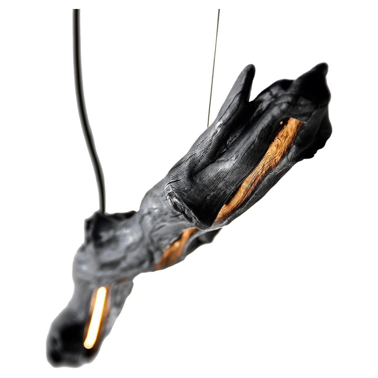 Lampe à suspension moderne en bois noir, Burning Ego par WDSTCK