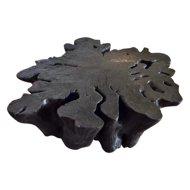 Contemporary Blackened Litchi Root Coffee Table by Jerome Abel Seguin