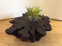 Zeitgenössischer geschwärzter litchiwurzel-couchtisch by Jerome Abel Seguin