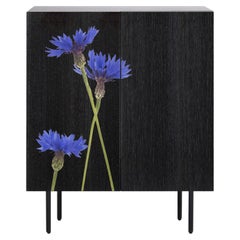Contemporary Blue Cornflower Cabinet in Black Ash and Steel