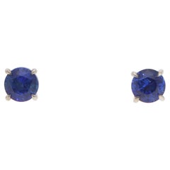 Contemporary Blue Sapphire Stud Earrings in Weißgold