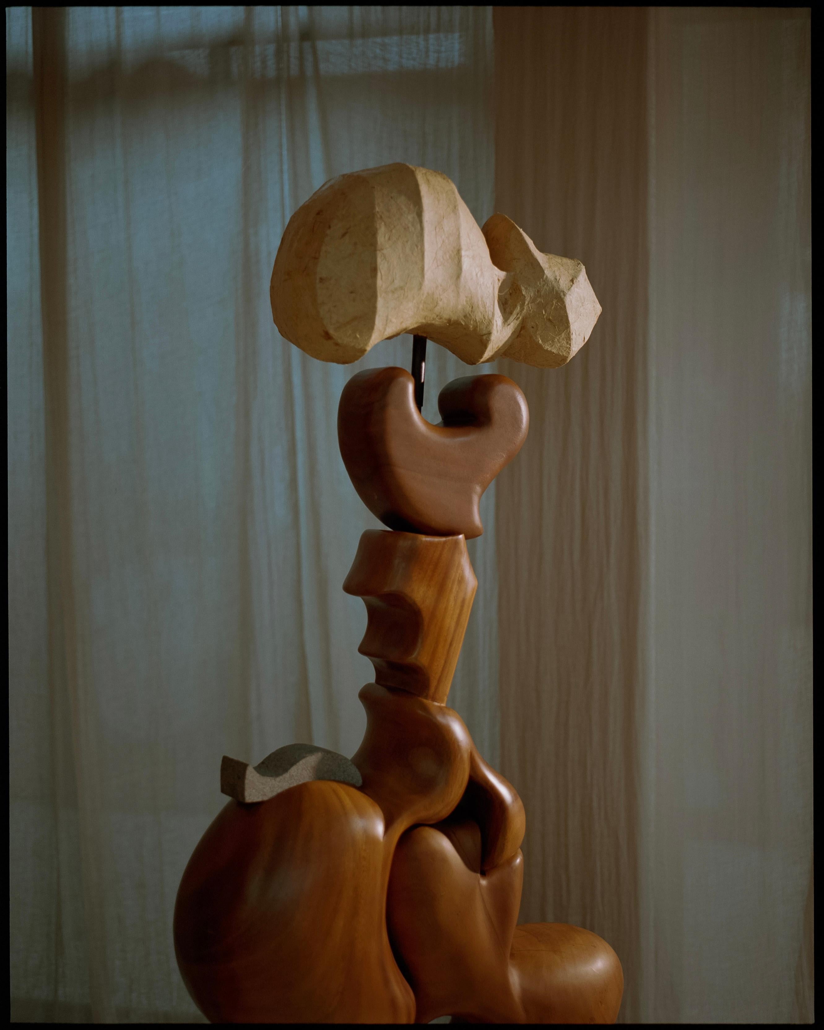 Lámpara Bina de Teca de forma contemporánea, bohemia y orgánica Hecho a mano en venta
