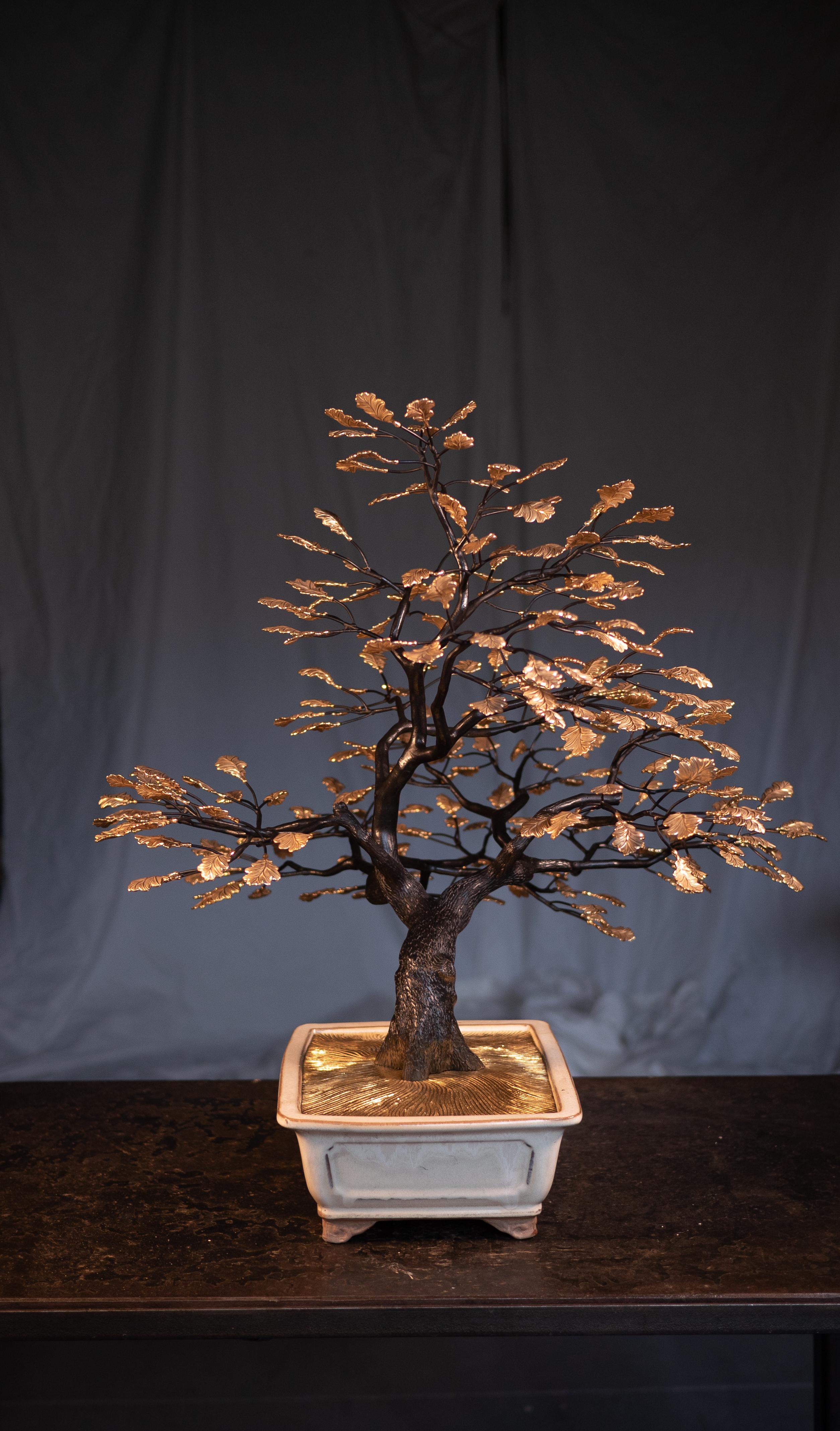 Hand-Carved Contemporary Bonsai Tree Sculpture by Pierre Salagnac  For Sale