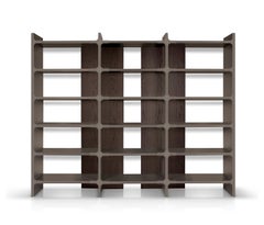 Contemporary Bookcase Lacquered, Veneer Oak/Walnut
