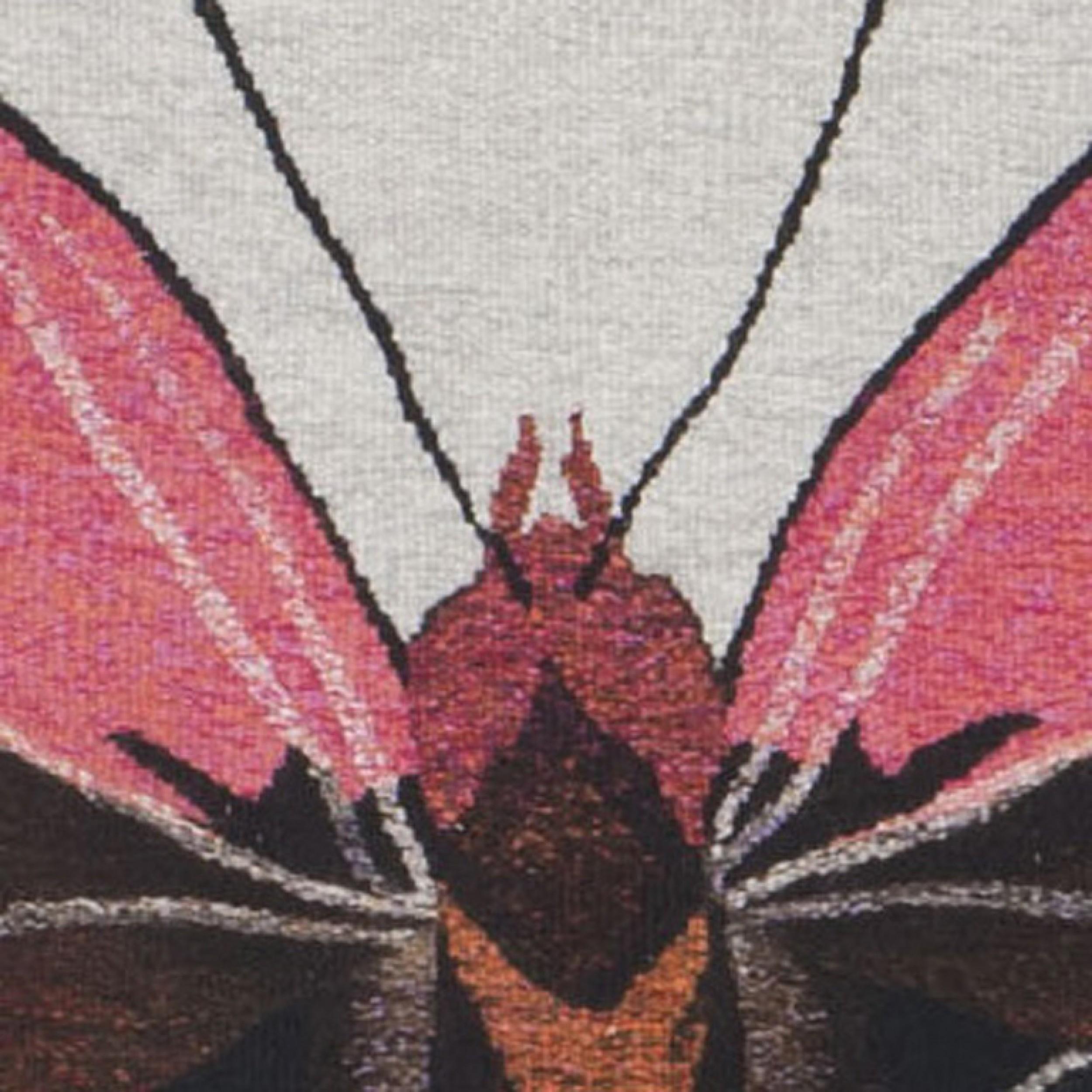 Tapiz Contemporáneo Bradfield Mariposa Moderno en venta
