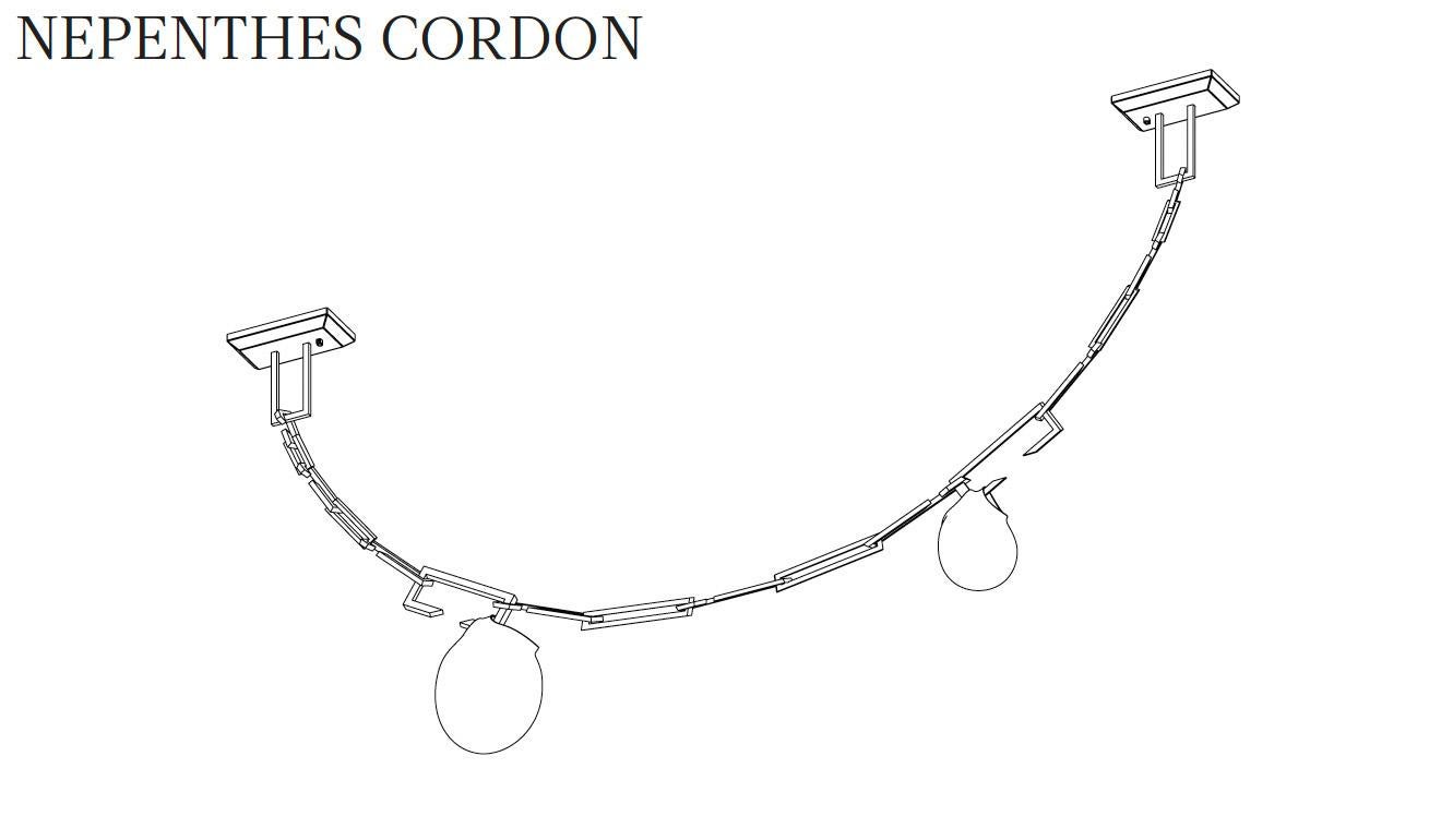 Contemporary Brass Light Pendelleuchte, Nephentes Cordon/Tendril von Christopher Boots im Angebot 3