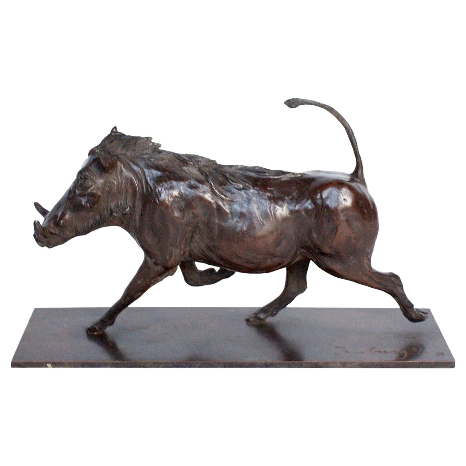 Scultura contemporanea in bronzo di Jenna Gearing raffigurante un facocero al trotto