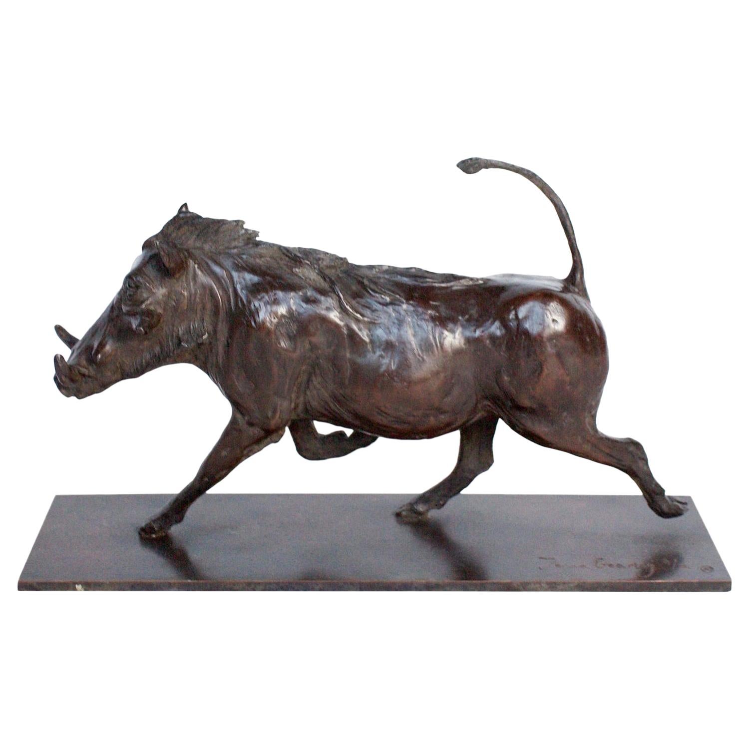 Contemporary Bronze Sculpture of a Trotting Warthog by Jenna Gearing For Sale