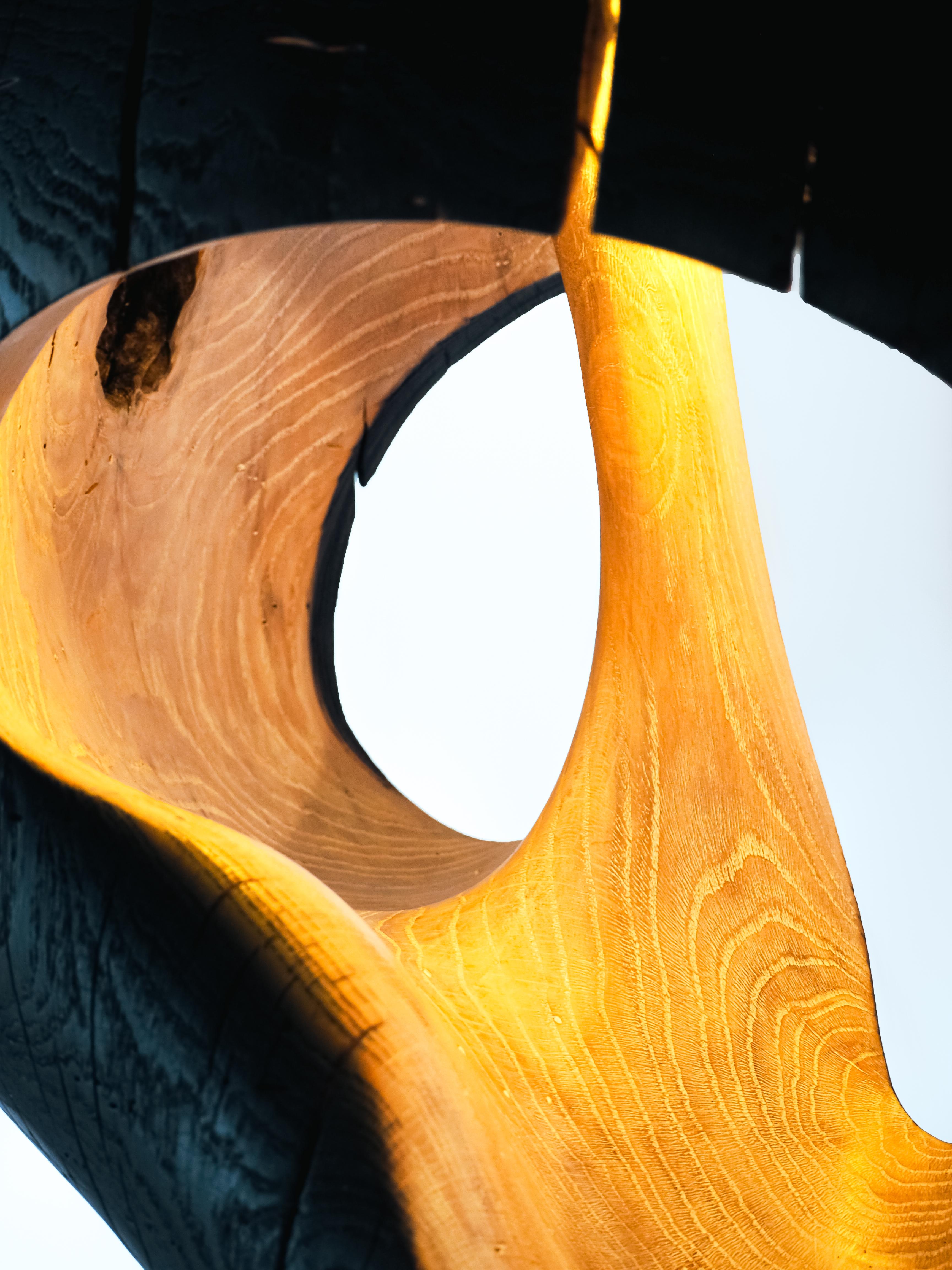 Contemporary Brood Lamp by tom jablin For Sale 6