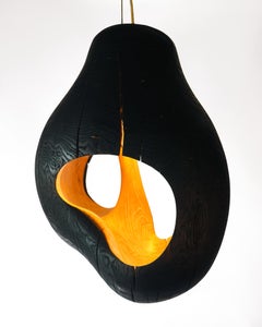 Contemporary Brood Lamp by tom jablin