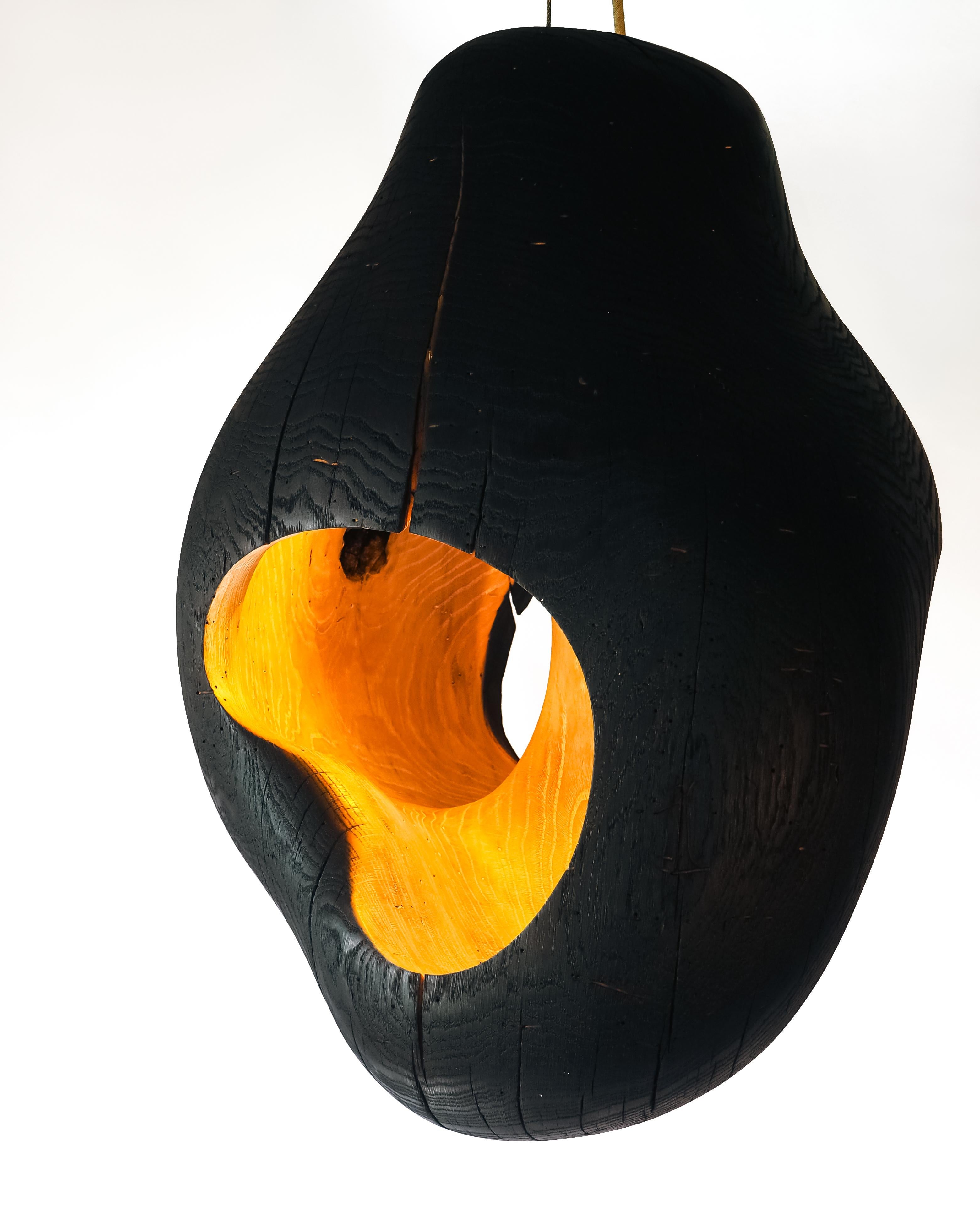 French Contemporary Brood Lamp by tom jablin For Sale
