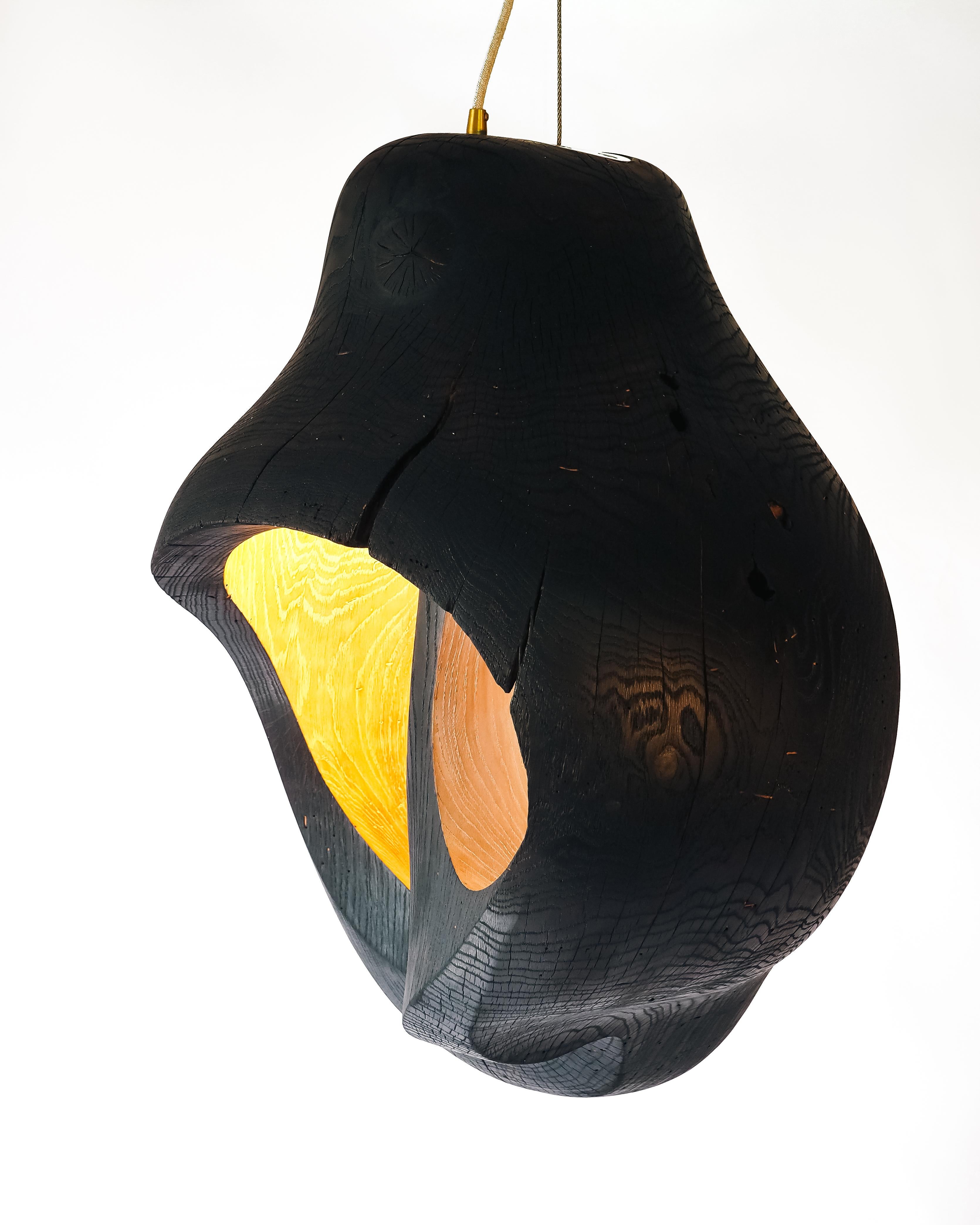 Hand-Carved Contemporary Brood Lamp by tom jablin For Sale