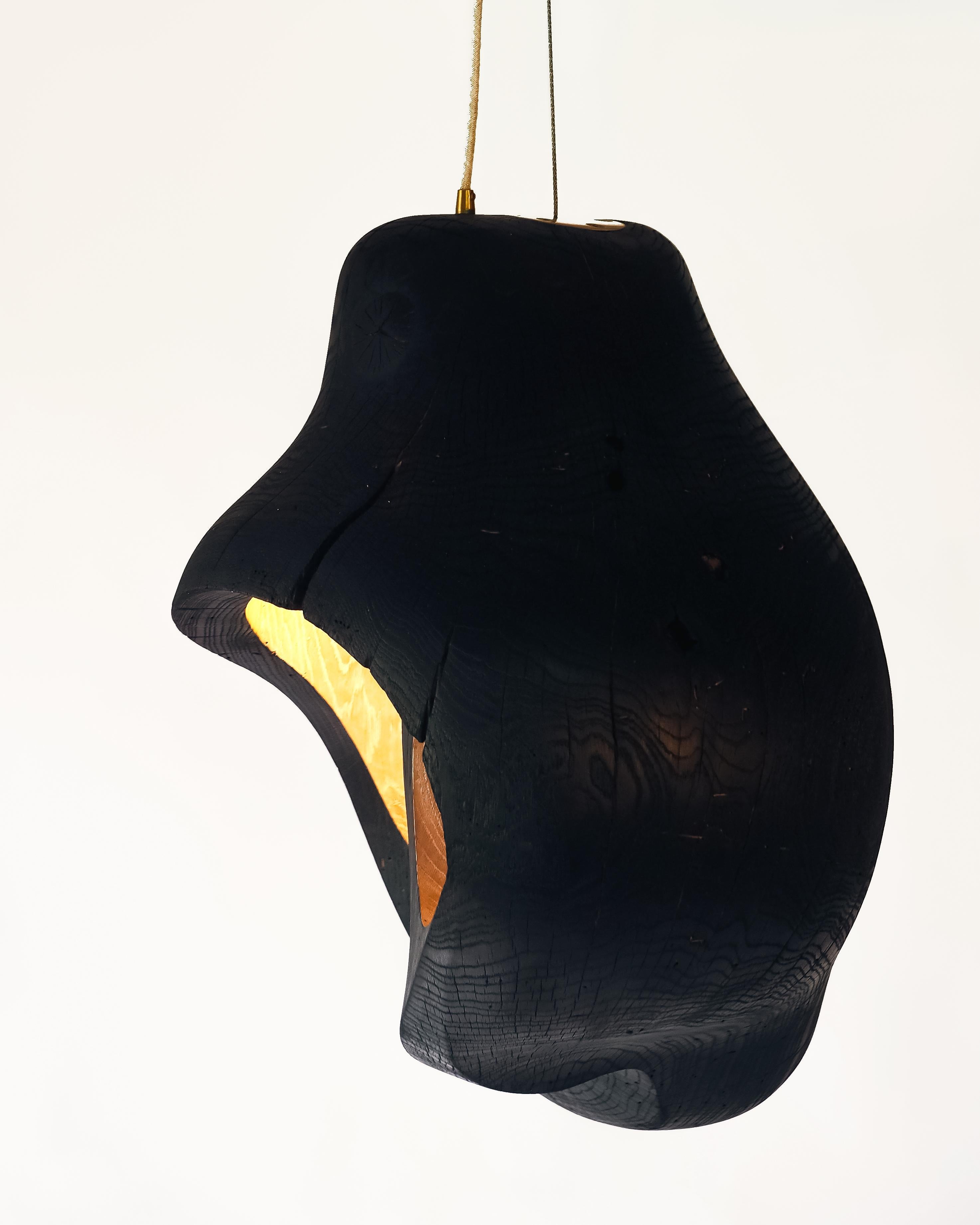 Contemporary Brood Lamp by tom jablin In New Condition For Sale In 1204, CH