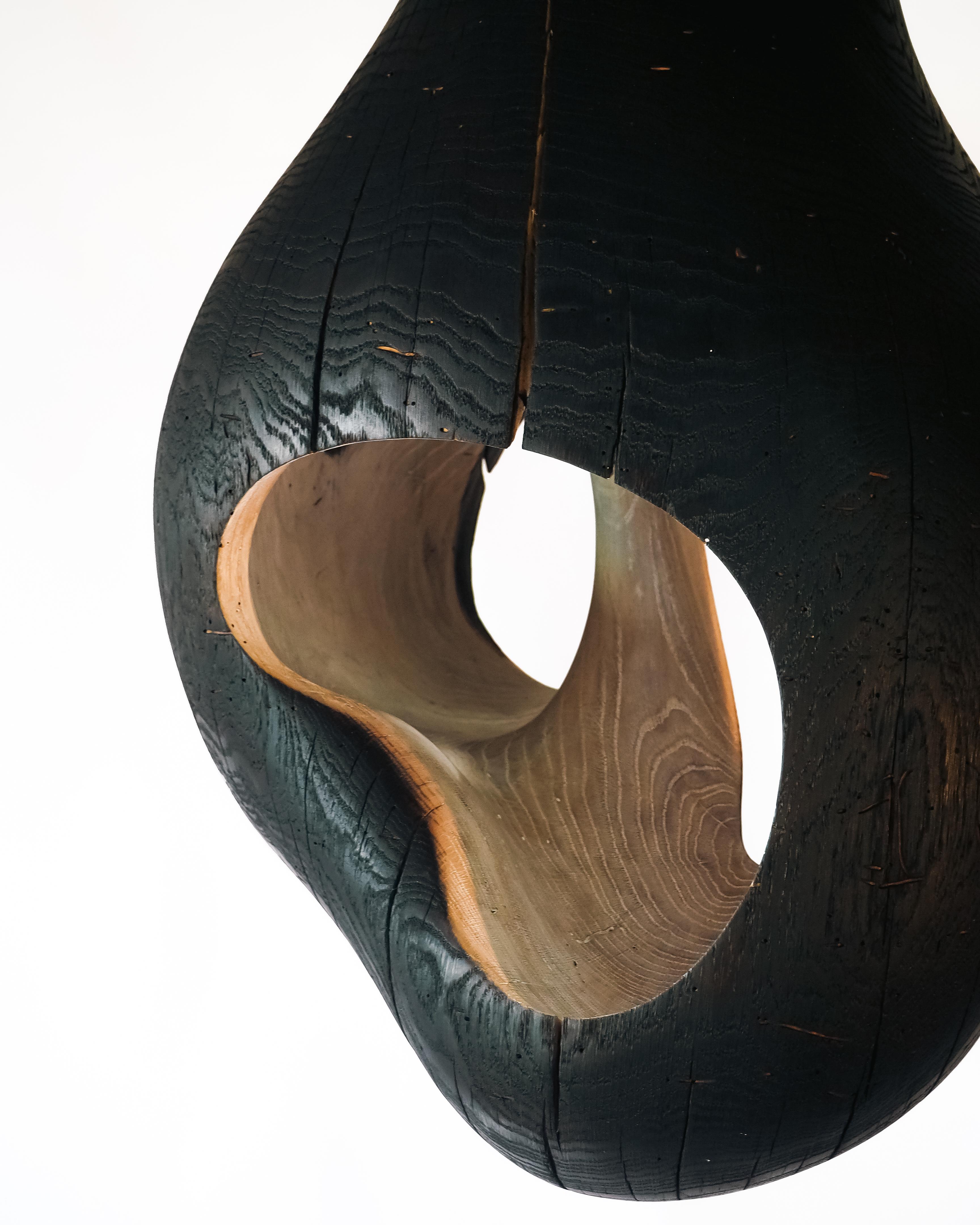 Contemporary Brood Lamp by tom jablin For Sale 1