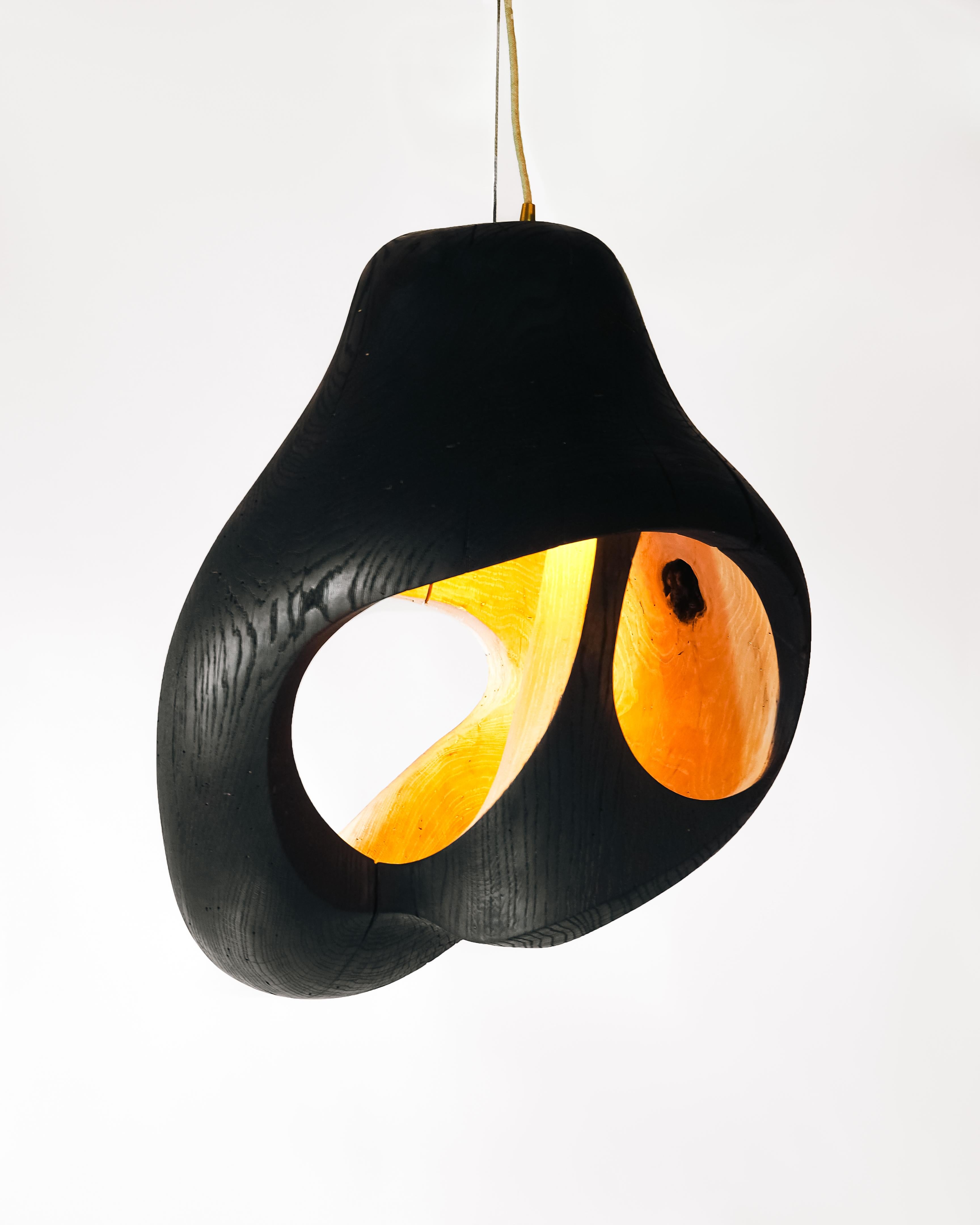Contemporary Brood Lamp by tom jablin For Sale 2