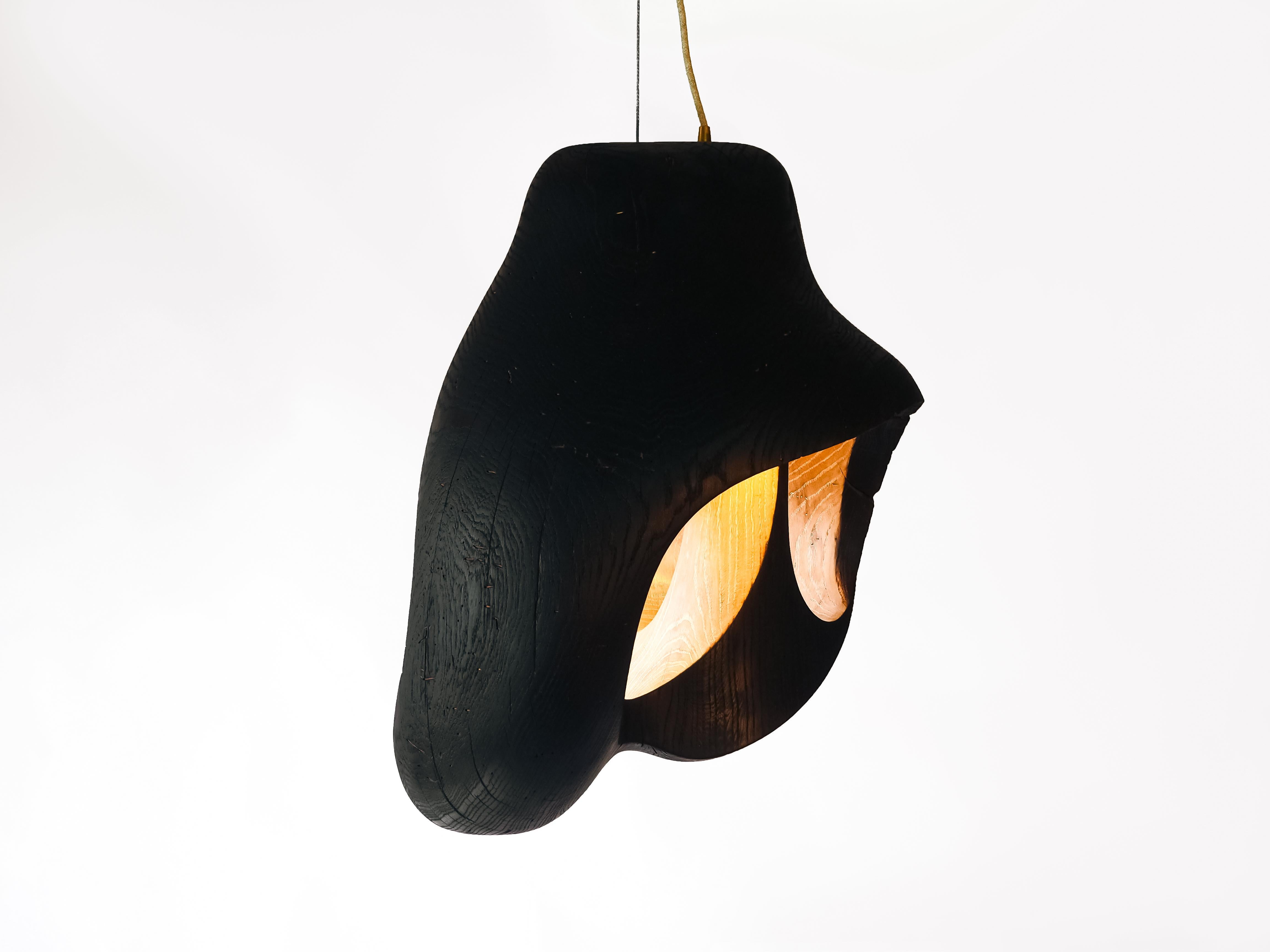Contemporary Brood Lamp by tom jablin For Sale 3
