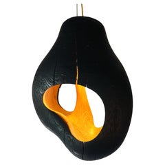 Contemporary Brood Lamp by tom jablin