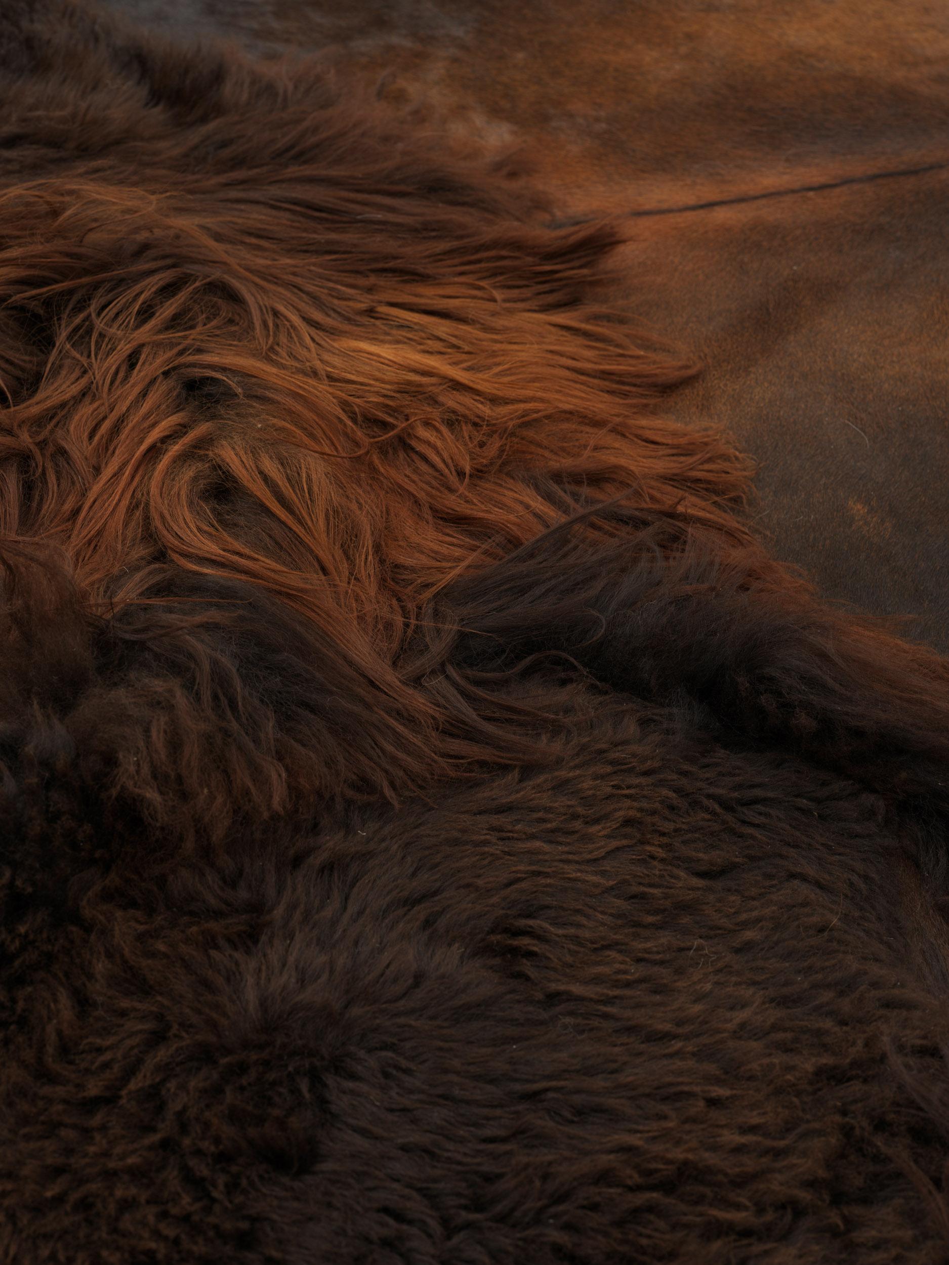 Sheepskin Contemporary Brown Sheep skin customisable For Sale