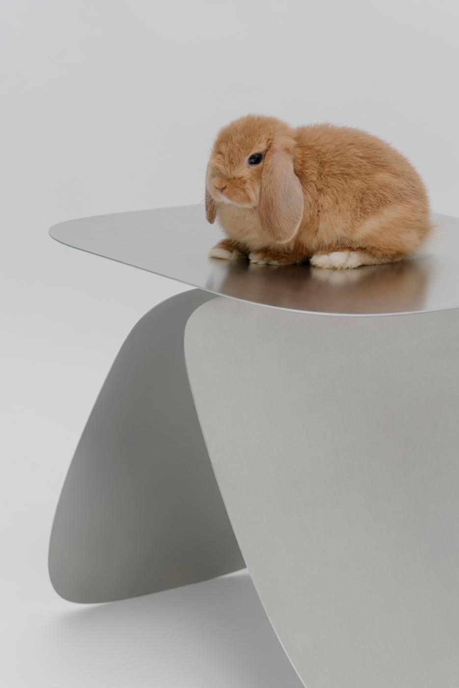 Bunny Table ist ein skurriler Beistelltisch, dessen Sockel an Hasenohren erinnert. Minimalistisch durch seine
Der Bunny-Tisch besteht aus drei ausgesägten Stahlteilen, was zu einer
ein zeitloses Design.

Bunny Table