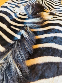 Alfombra contemporánea de cebra Burchell