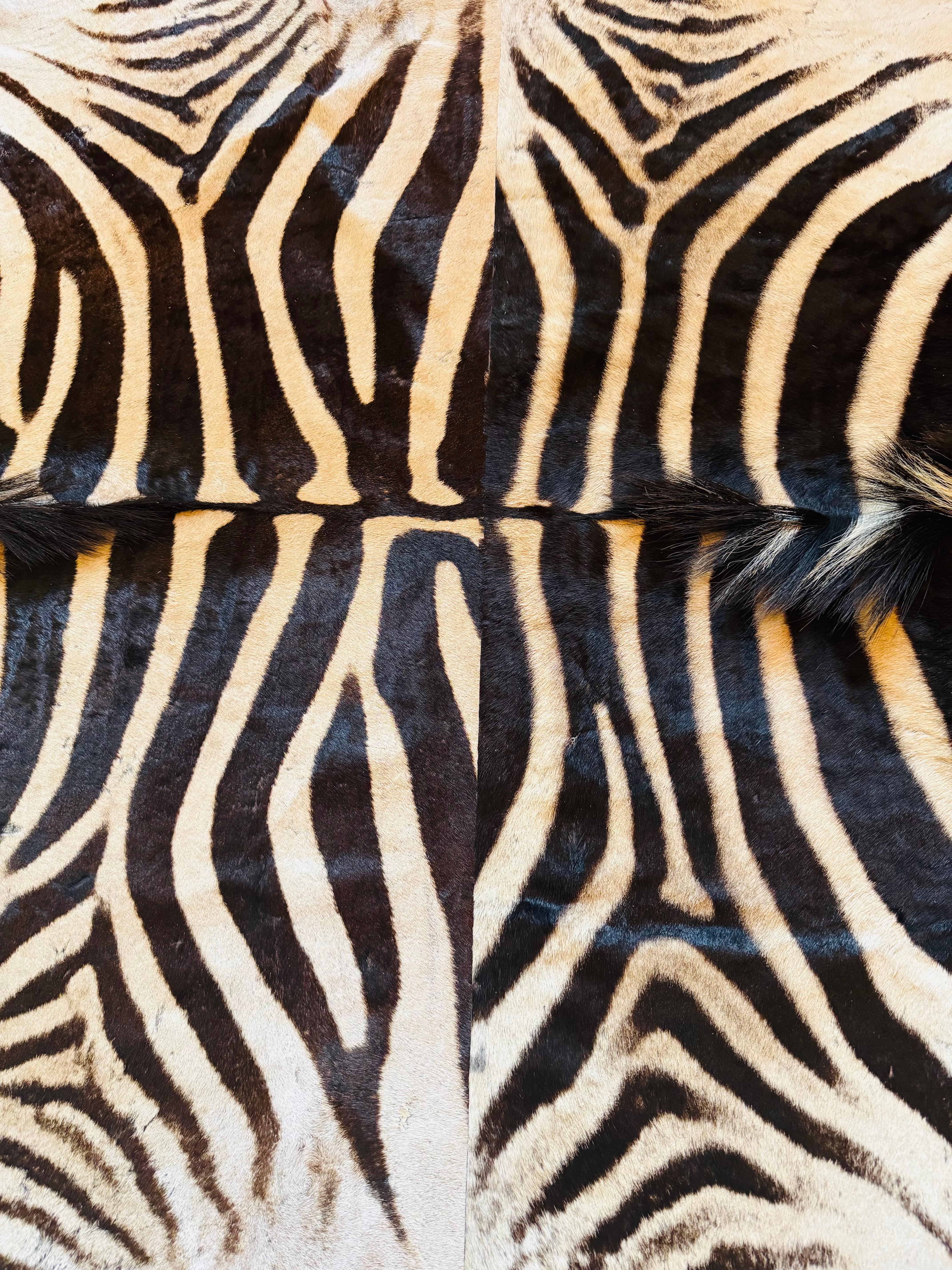 Zeitgenössischer Burchell-Zebra-Teppich (Moderne) im Angebot