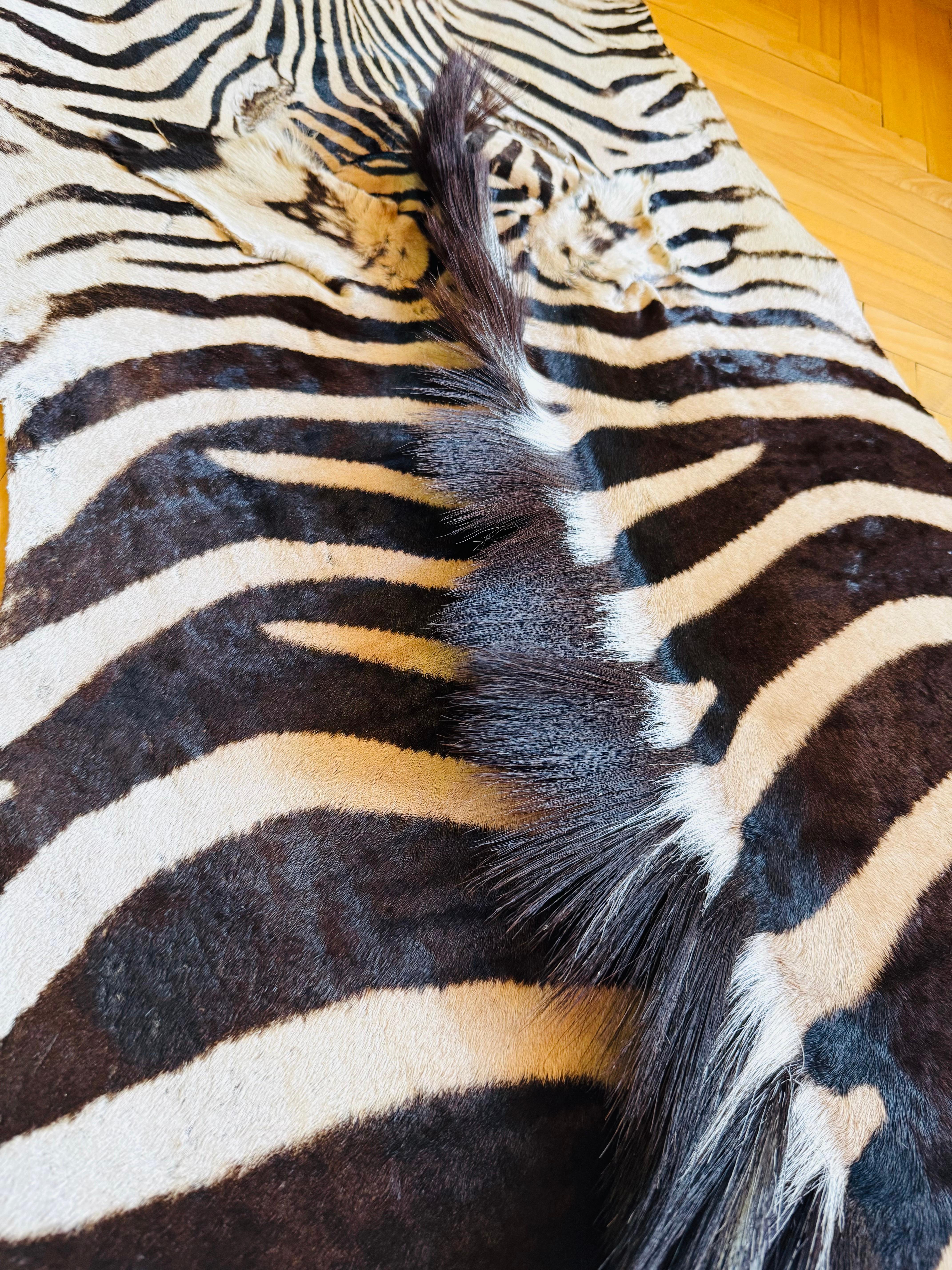 Zeitgenössischer Burchell-Zebra-Teppich (Südafrikanisch) im Angebot