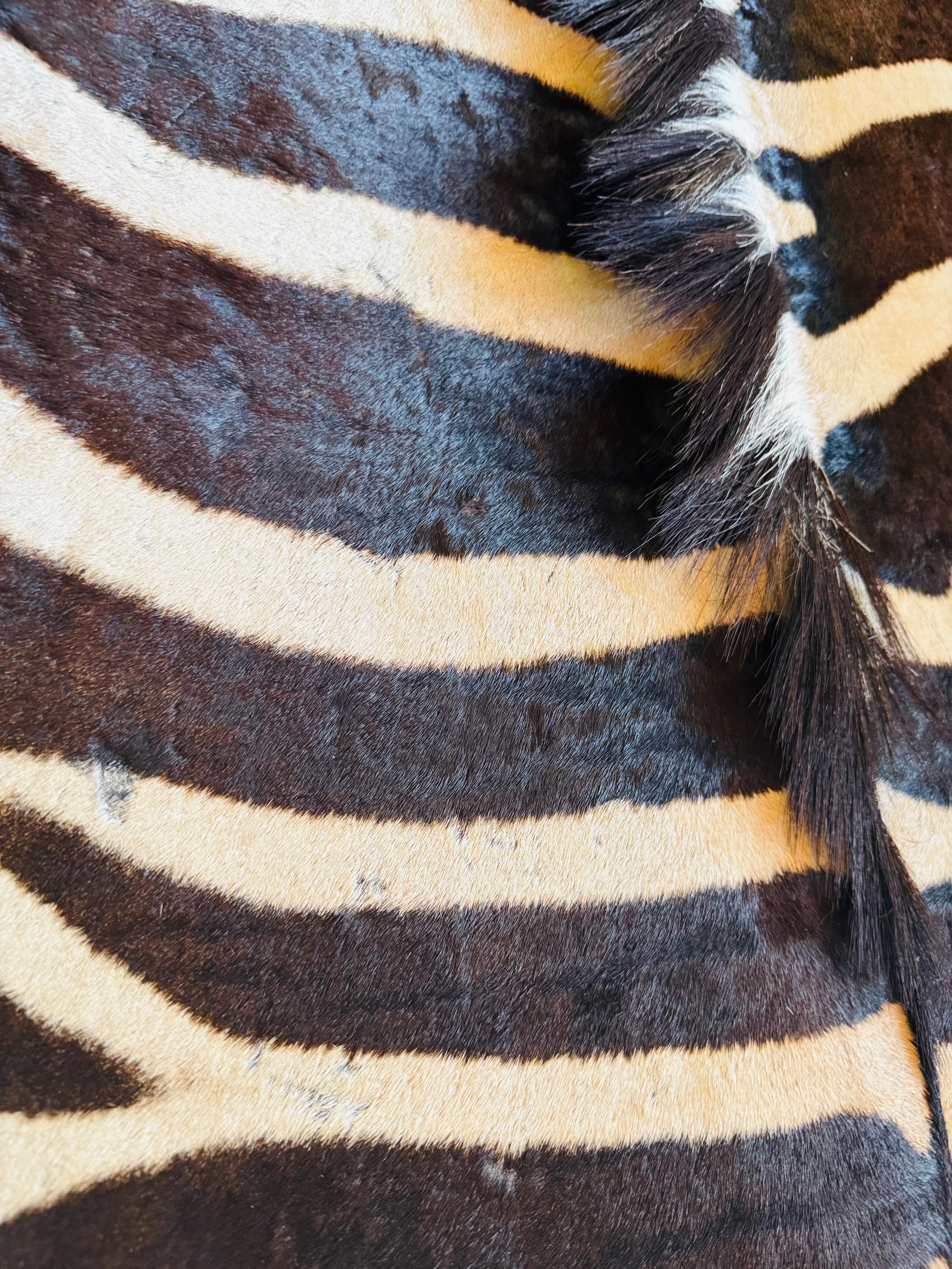 Zeitgenössischer Burchell-Zebra-Teppich im Zustand „Gut“ im Angebot in Wien, AT