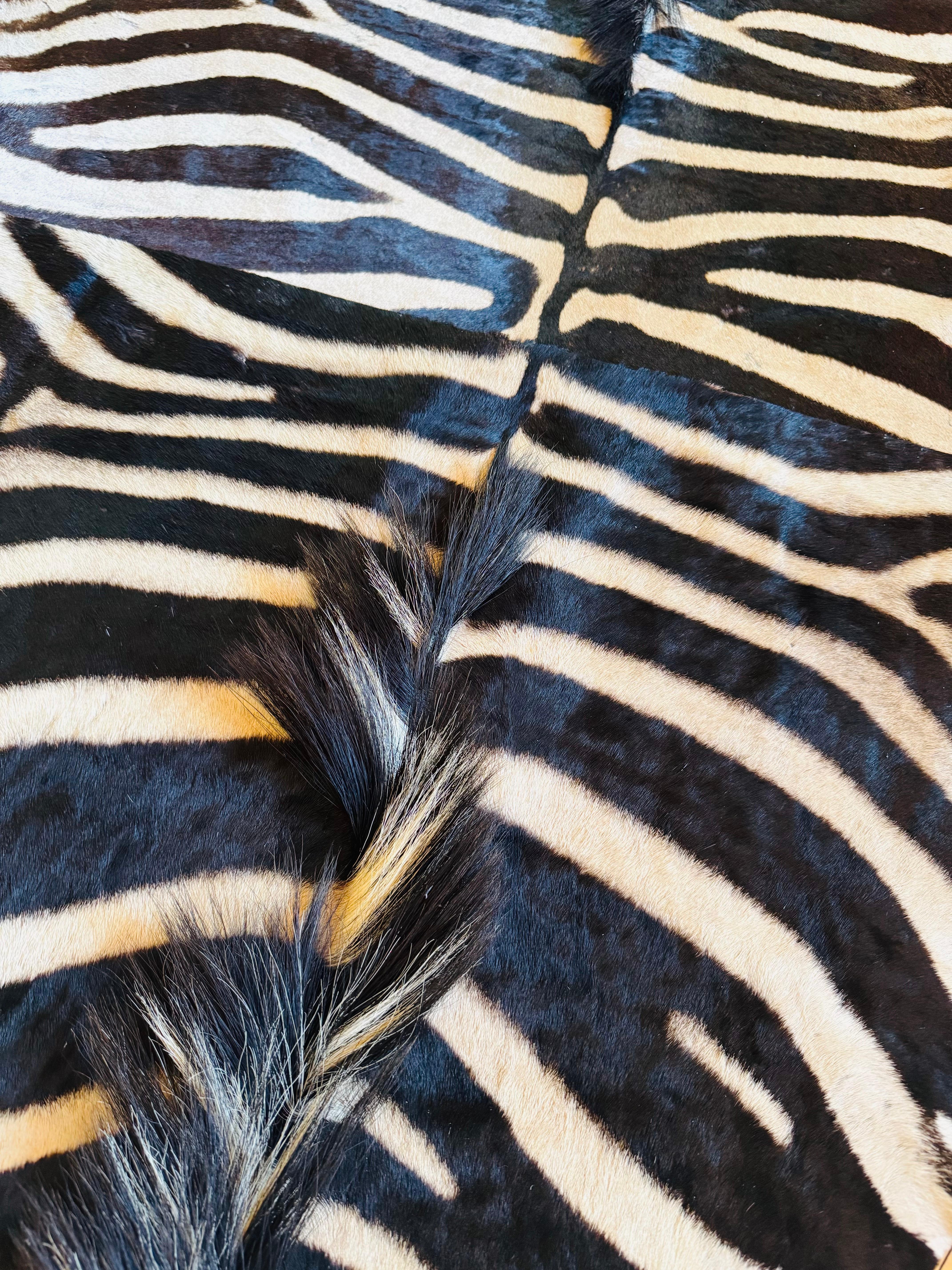 Zeitgenössischer Burchell-Zebra-Teppich (21. Jahrhundert und zeitgenössisch) im Angebot