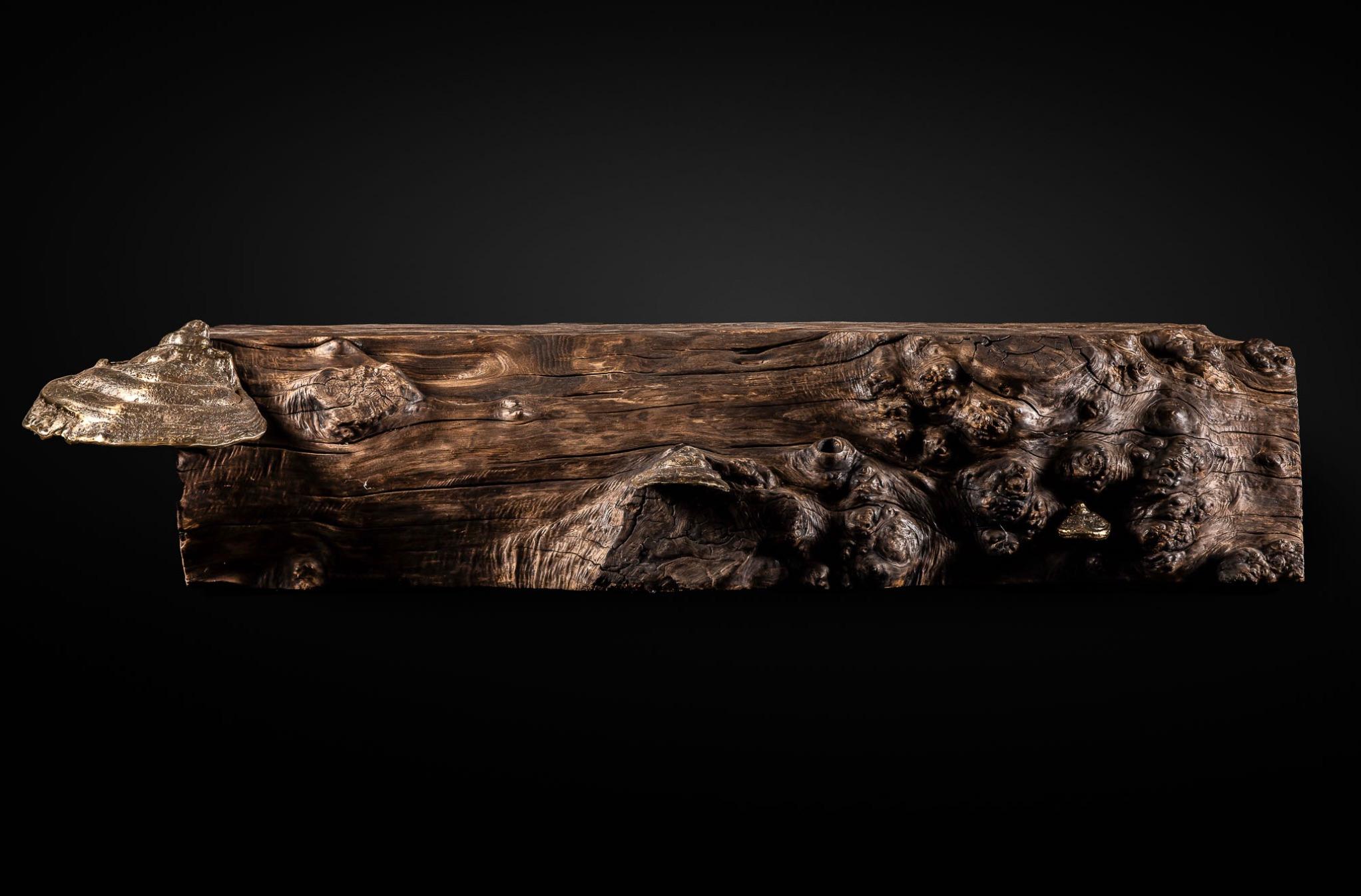 Hand-Carved Contemporary Burned and polished White Chestnut wood - Cast Brass Tondel Bench For Sale
