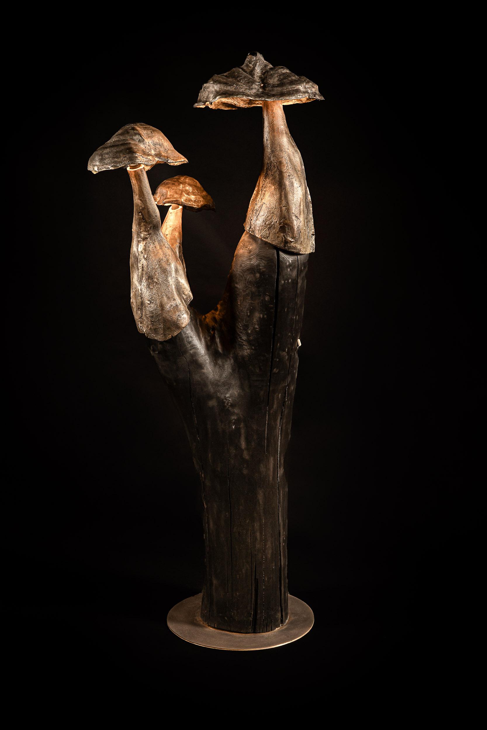 Belga Albero di pioppo bruciato e cerato contemporaneo con lampada da terra in ottone fuso Tondel 03 in vendita