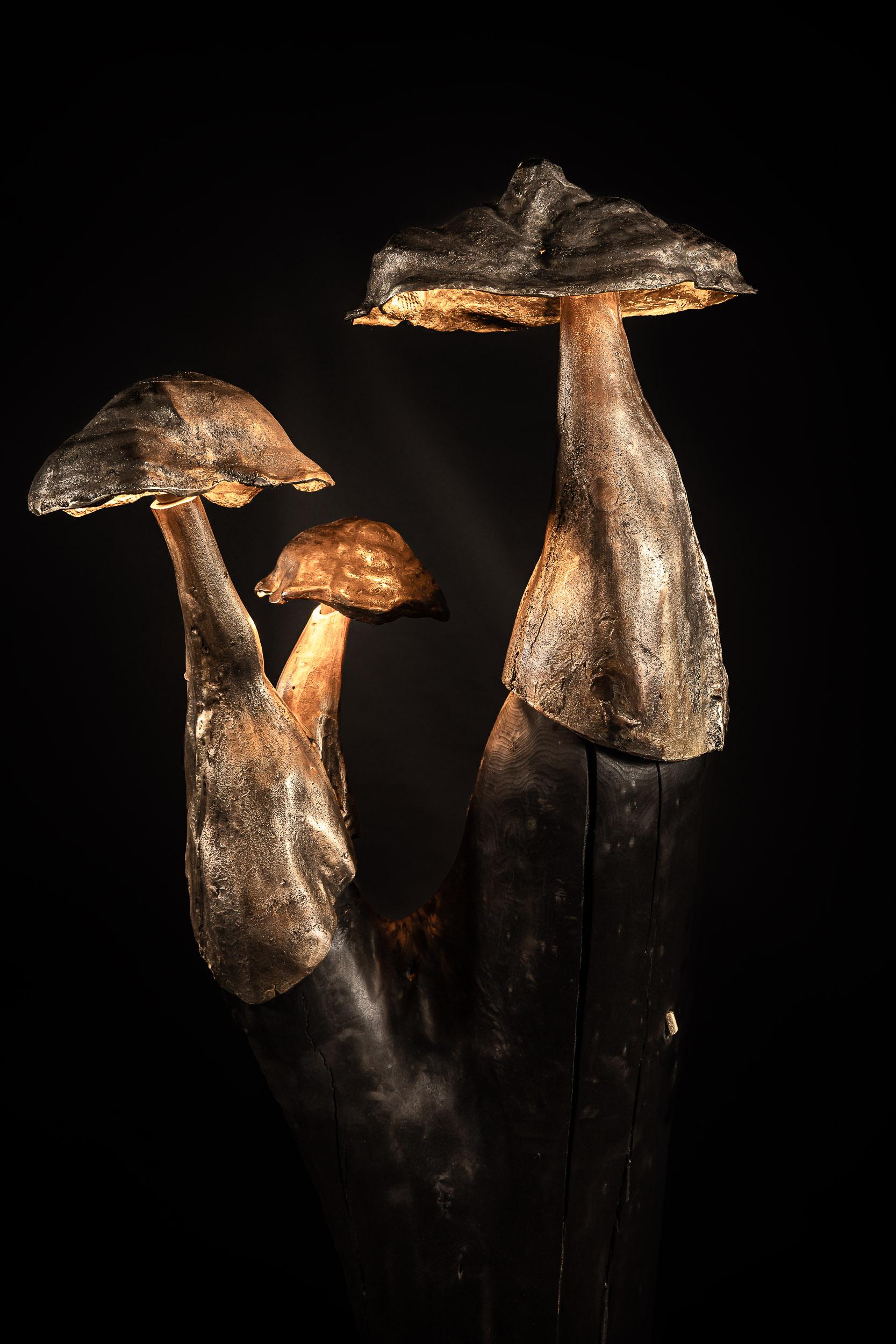 XXI secolo e contemporaneo Albero di pioppo bruciato e cerato contemporaneo con lampada da terra in ottone fuso Tondel 03 in vendita