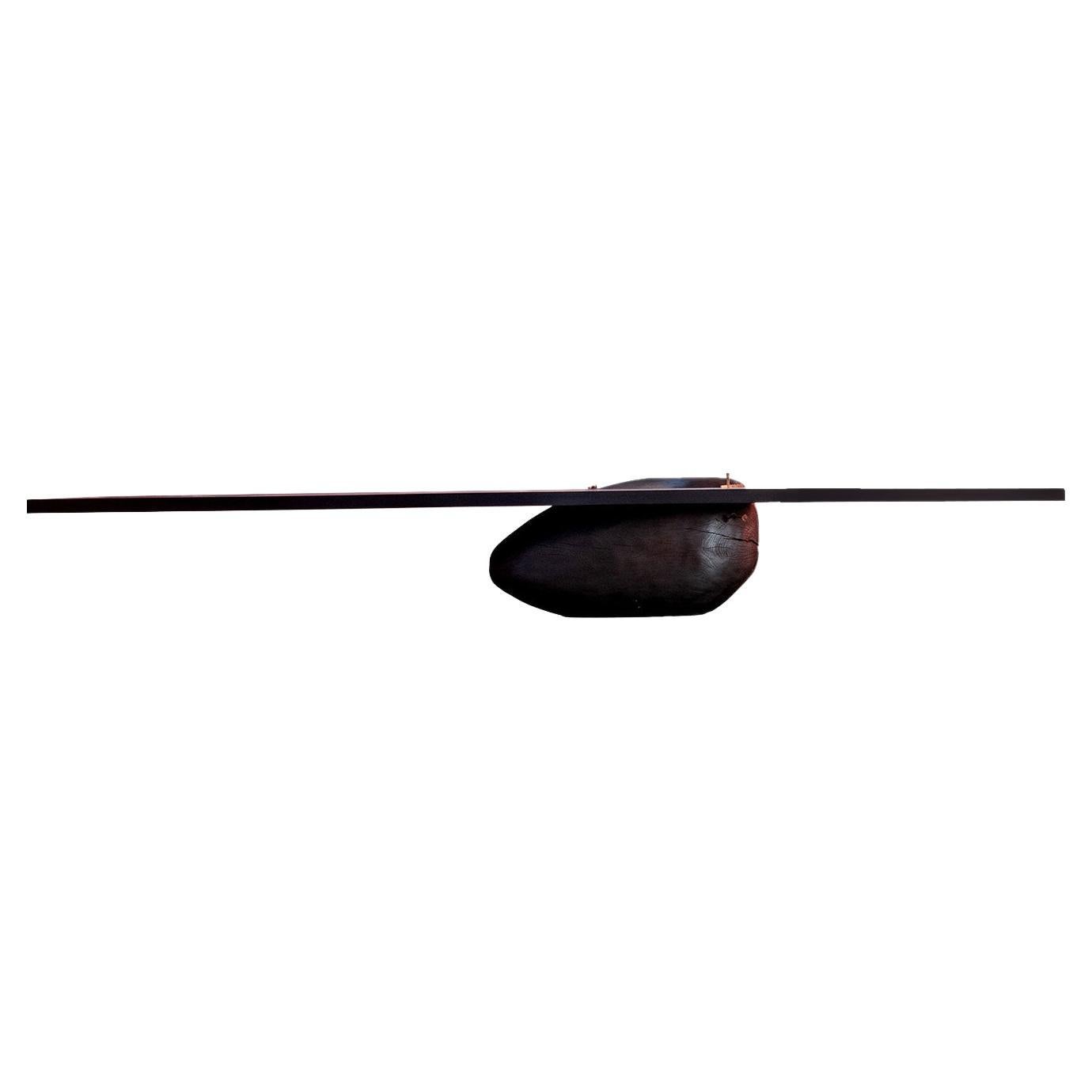 Contemporary burned Zazange & Bronze 'The Egg' Dining table by Mircea Anghel For Sale