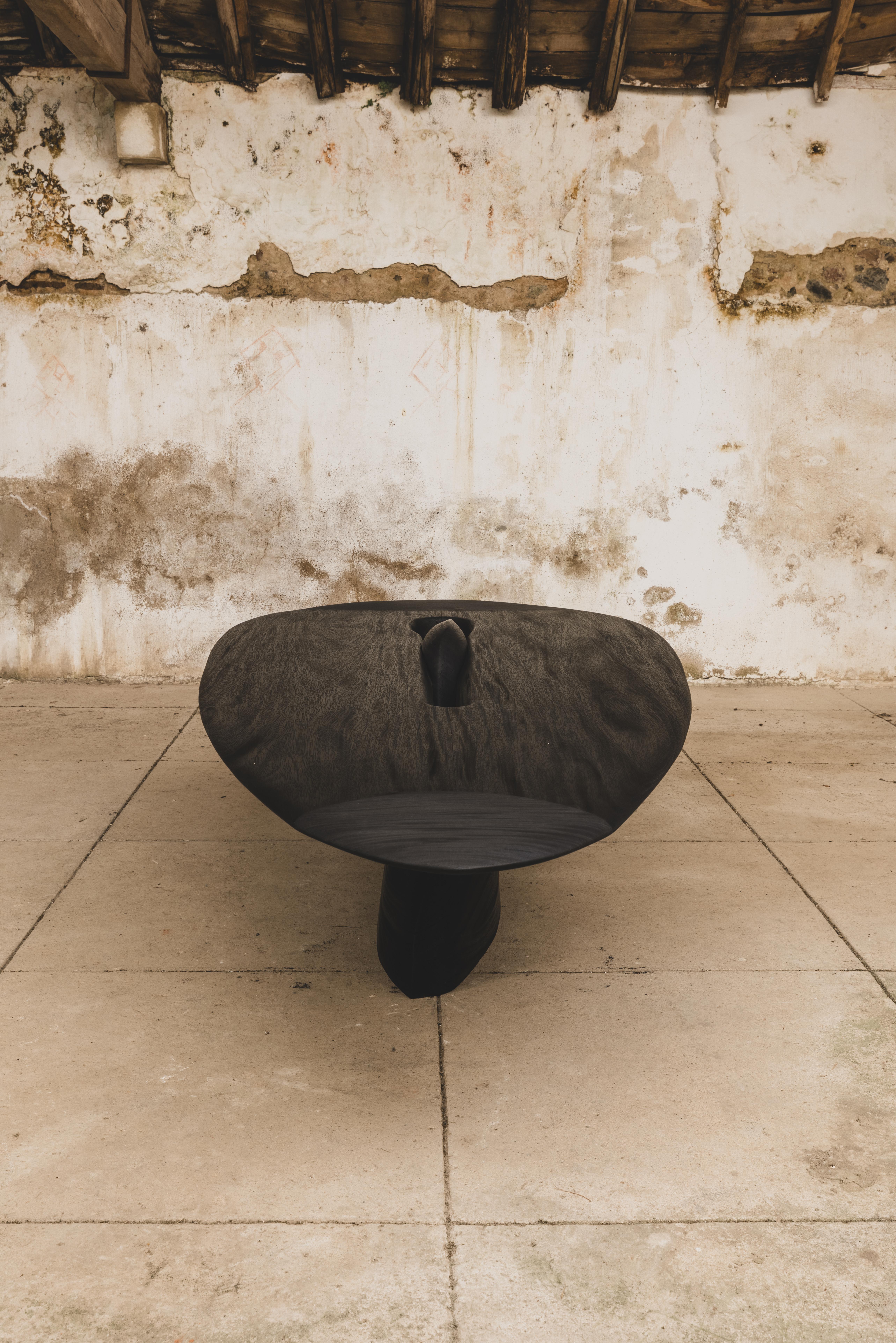 Contemporary brûlé zazange Wood Pico Rosa 0.1 table en vente 5