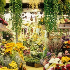 Contemporary "Busano 02" "Artificial Paradise" Series Photography by Paula Anta