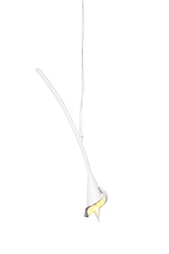 Contemporary Calla Lily Pendant Light in White Plaster, Single