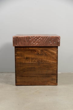 Baúl Contemporáneo de Madera de Alcanfor con Tapa de Diseño de Vetas de Cobre Antiguo Repoussé