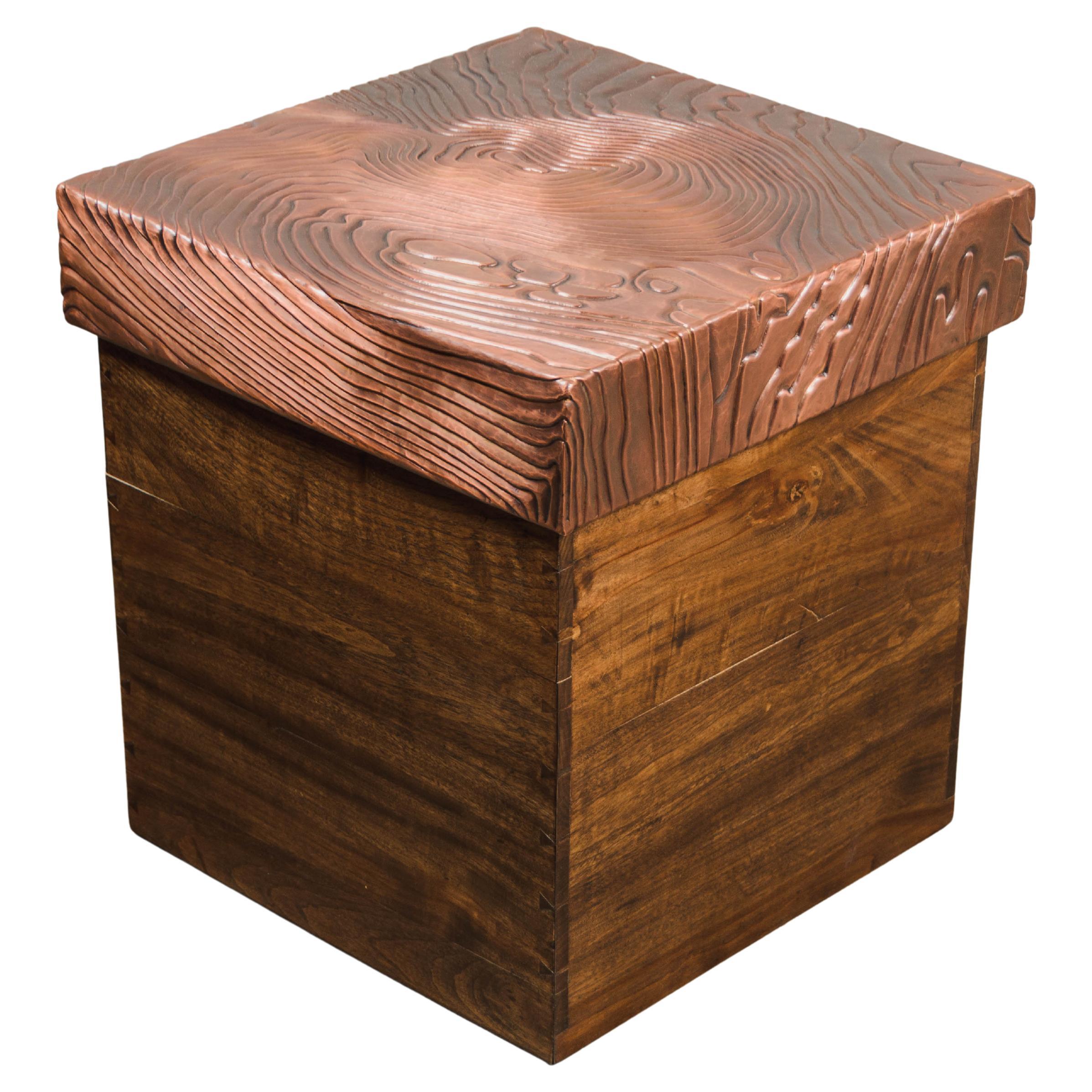 Baúl Contemporáneo de Madera de Alcanfor con Tapa de Diseño de Vetas de Cobre Antiguo Repoussé en venta