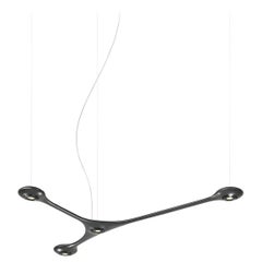 Contemporary Carbon Light CARB04.00 Pendant by Tokio.