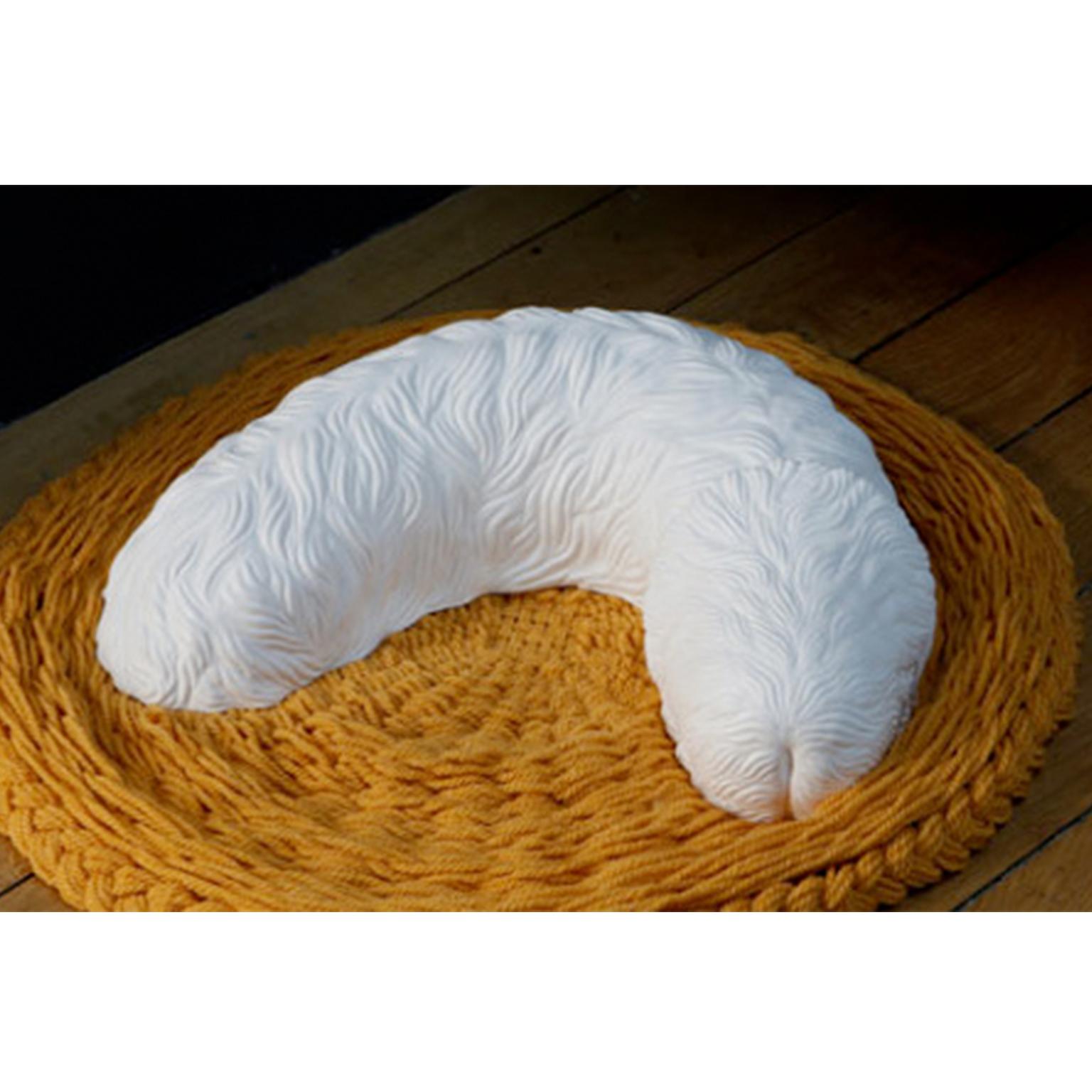 Contemporary ceramic sulpture 'Pet Penis' by artist Jessica Lajard. This work is presented by French Cliché.

Artist Jessica Lajard uses kitsch or fake authenticity to rise questions about notions of beauty and ugliness. The hybrid sculpture of a