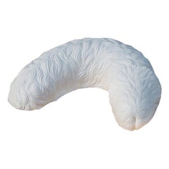 Contemporary Ceramic Sulpture 'Pet Penis'