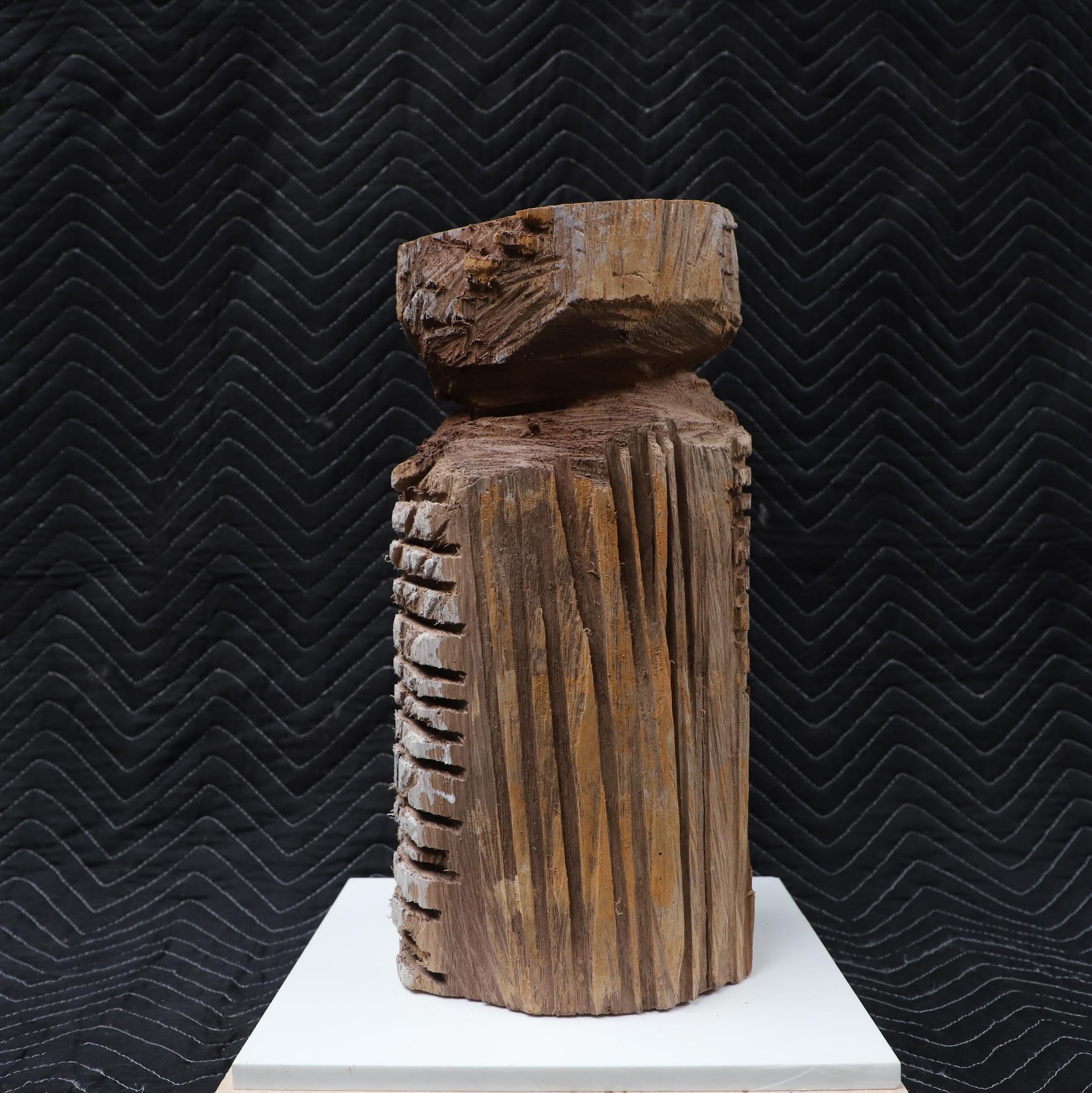 Escultura contemporánea de madera tallada con motosierra 008 by Studio Melrose en Nuevo estado para la venta en Brooklyn, NY