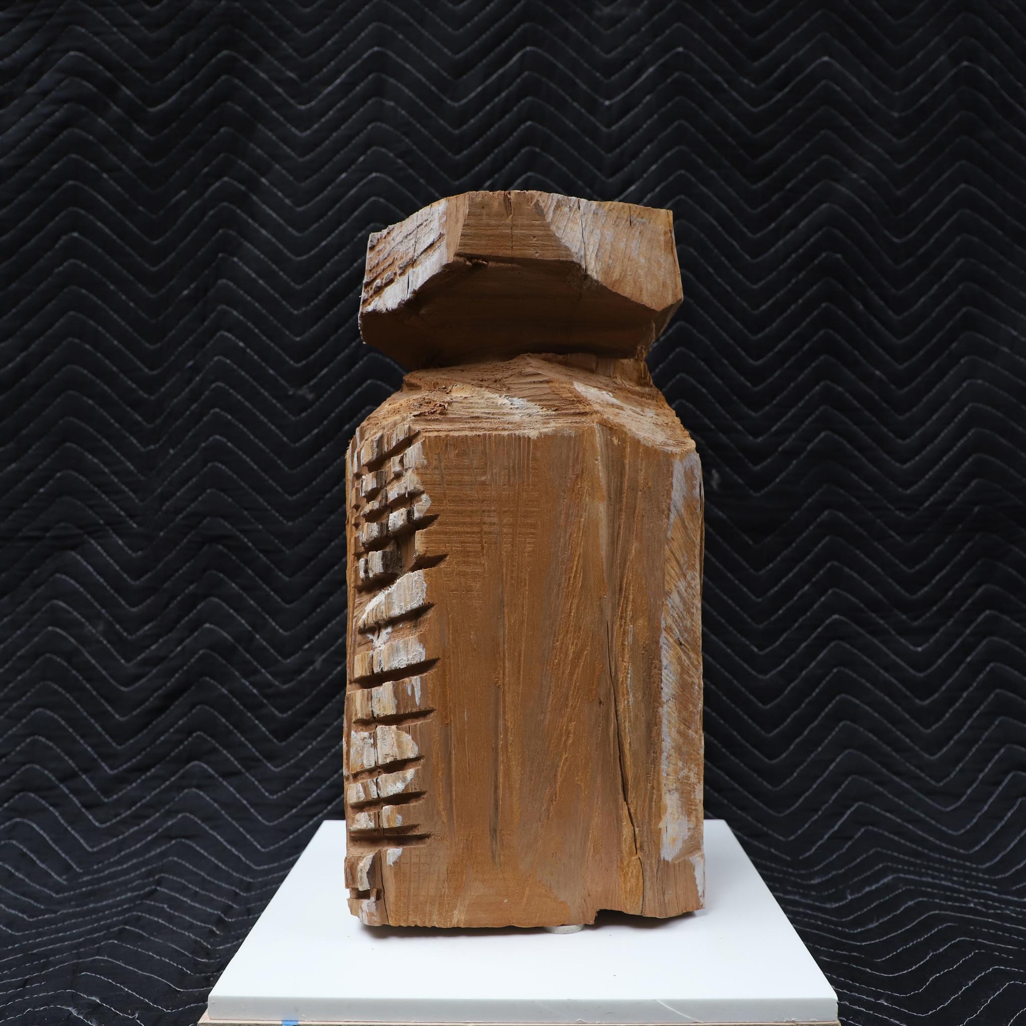 Estas esculturas de madera han sido talladas con motosierra por David Melrose y están hechas con un tronco macizo de nogal negro. 
Los 