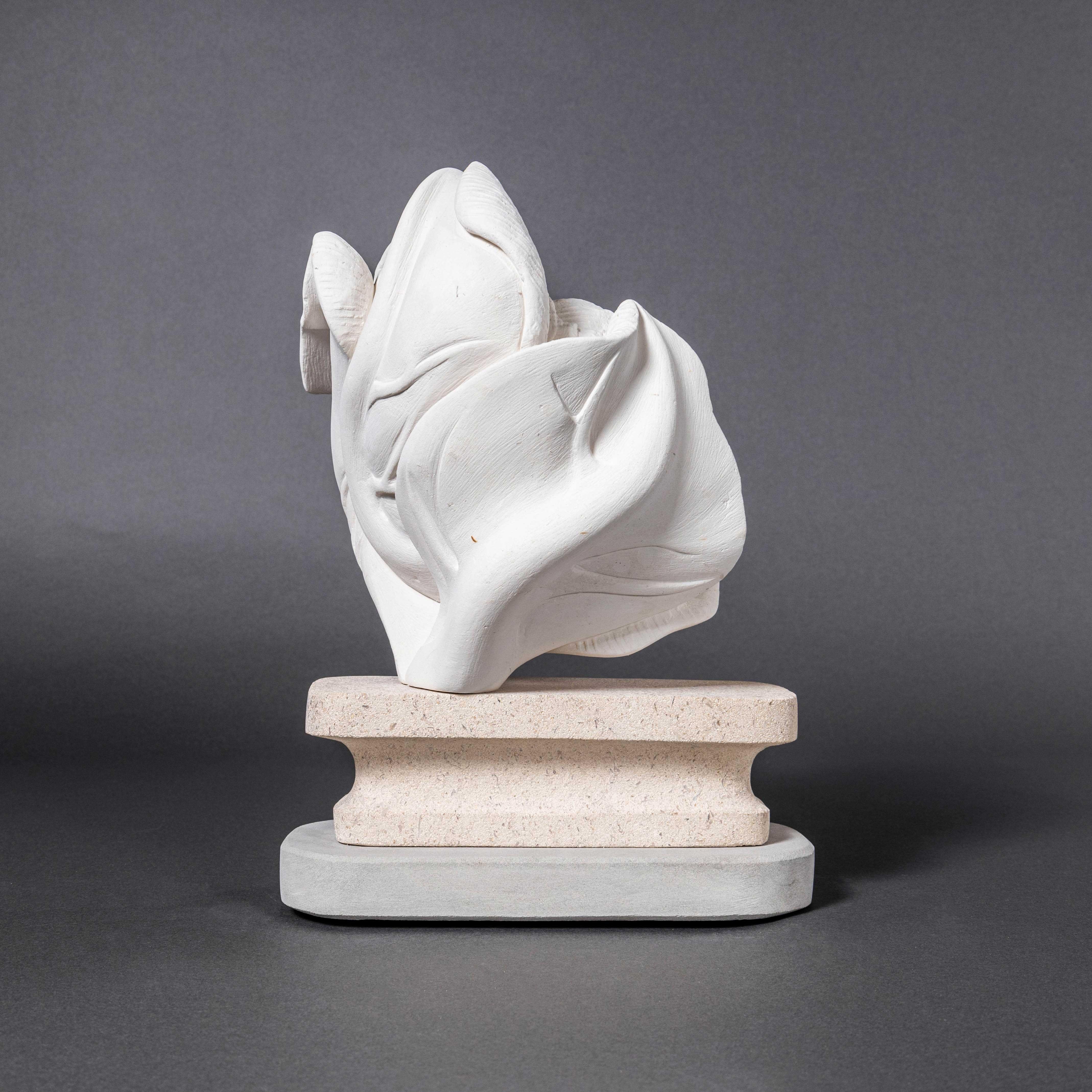 Coliflor contemporánea de pozo de tiza - Marcia Bennett-Male Caliza en venta