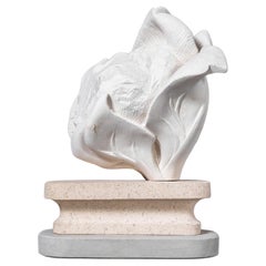 Coliflor contemporánea de pozo de tiza - Marcia Bennett-Male