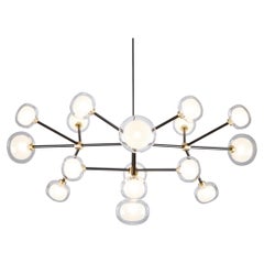 Contemporary Chandelier 'Nabila 552.16' by TOOY, Clear Glass